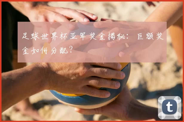 足球世界杯亚军奖金揭秘：巨额奖金如何分配？