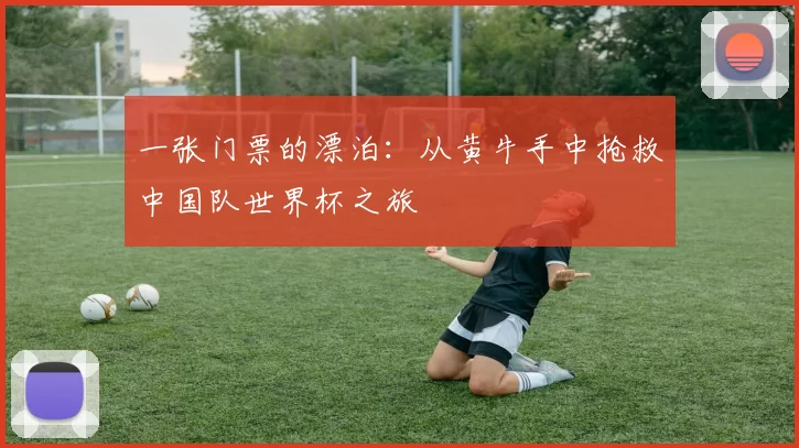 一张门票的漂泊：从黄牛手中抢救中国队世界杯之旅