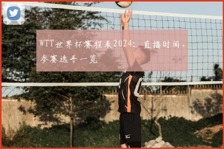 WTT世界杯赛程表2024:直播时间、参赛选手一览