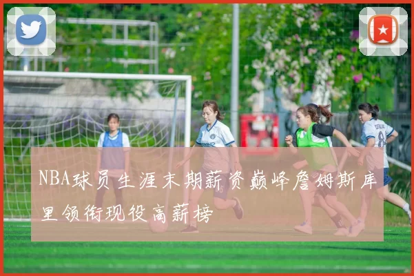 NBA球员生涯末期薪资巅峰詹姆斯库里领衔现役高薪榜