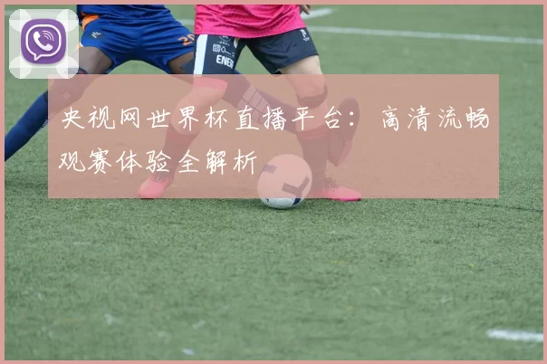 央视网世界杯直播平台：高清流畅观赛体验全解析