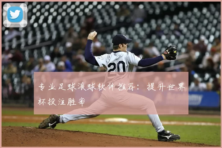 专业足球滚球软件推荐：提升世界杯投注胜率