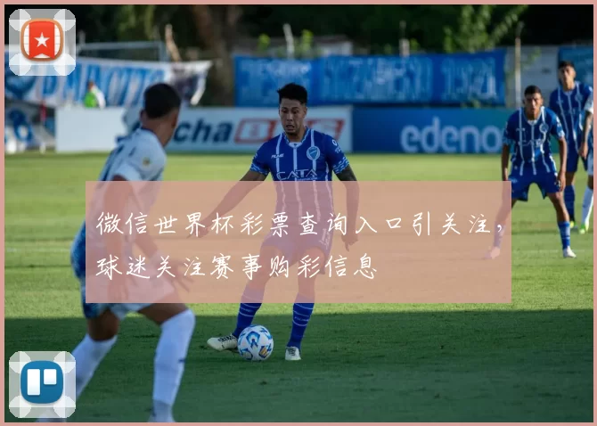 微信世界杯彩票查询入口引关注，球迷关注赛事购彩信息
