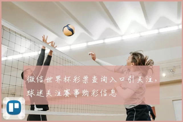 微信世界杯彩票查询入口引关注，球迷关注赛事购彩信息