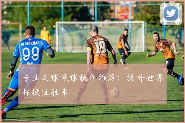 专业足球滚球软件推荐：提升世界杯投注胜率