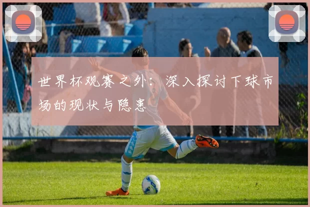 世界杯观赛之外：深入探讨下球市场的现状与隐患