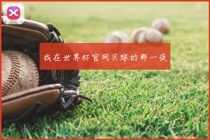 我在世界杯官网买球的那一夜