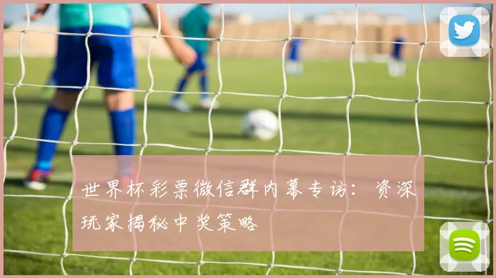 世界杯彩票微信群内幕专访:资深玩家揭秘中奖策略