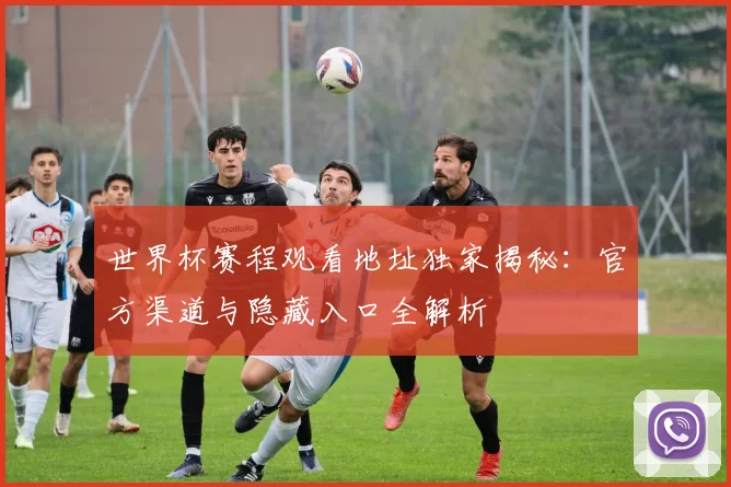 世界杯赛程观看地址独家揭秘：官方渠道与隐藏入口全解析
