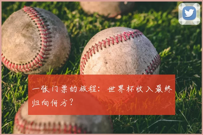 一张门票的旅程：世界杯收入最终归向何方？