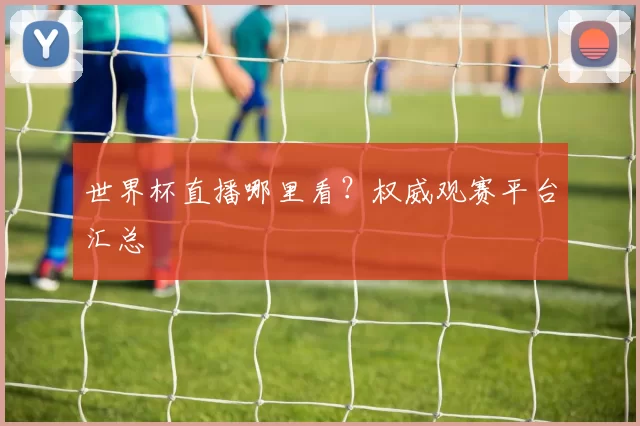 世界杯直播哪里看？权威观赛平台汇总